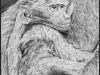 baboon