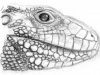 lizardscales