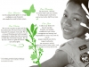GSCB Annual Report 2007 P3