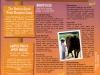 GSCB 2007 Camp Brochure P7