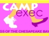 Camp Exec