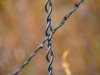 barbedwire2